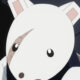 Nezu